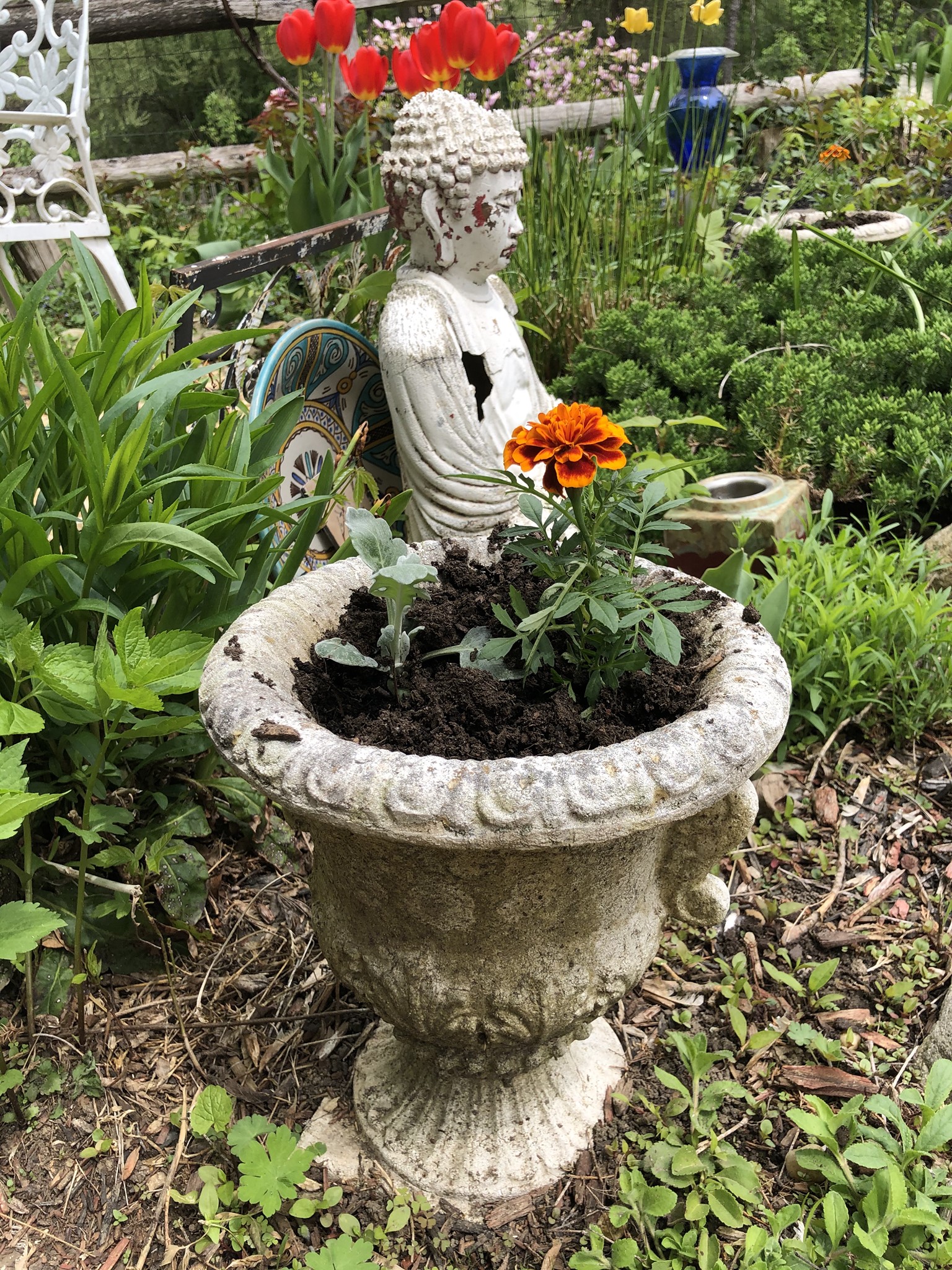 Almost Summer! The Gardens at Scranberry Coop - Scranberry Coop - Vintage Store - Antiques, Collectibles, & More