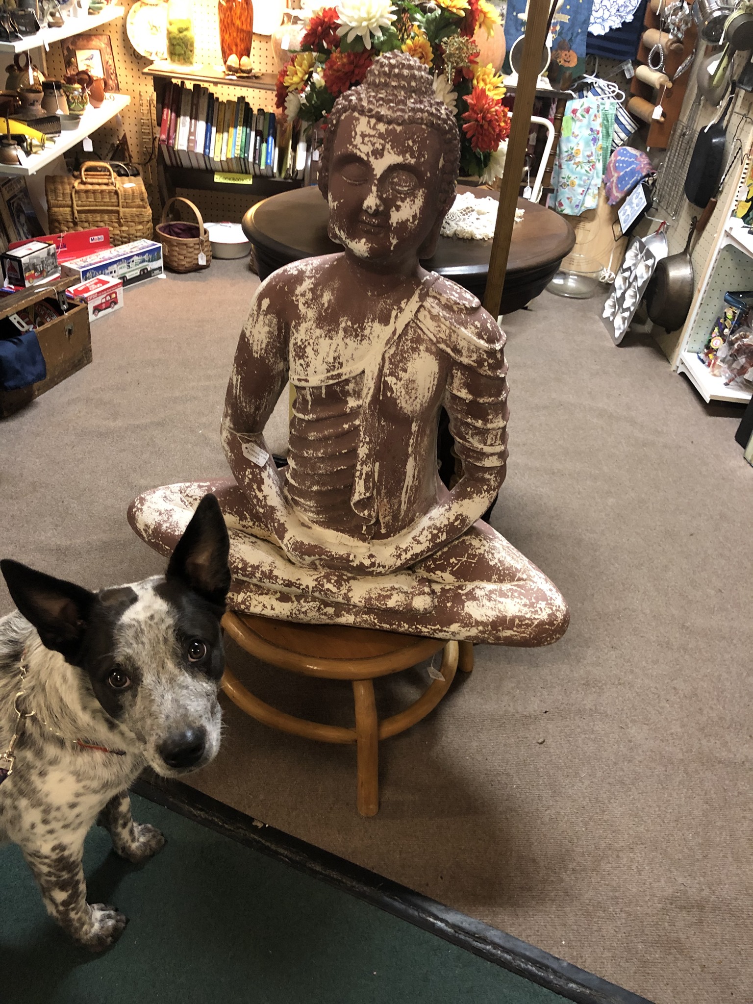 Scranberry Coop Snapshots - Jeff was tired, but Tosh jumped in to help! - Scranberry Coop - Vintage Store - Antiques, Collectibles, & More