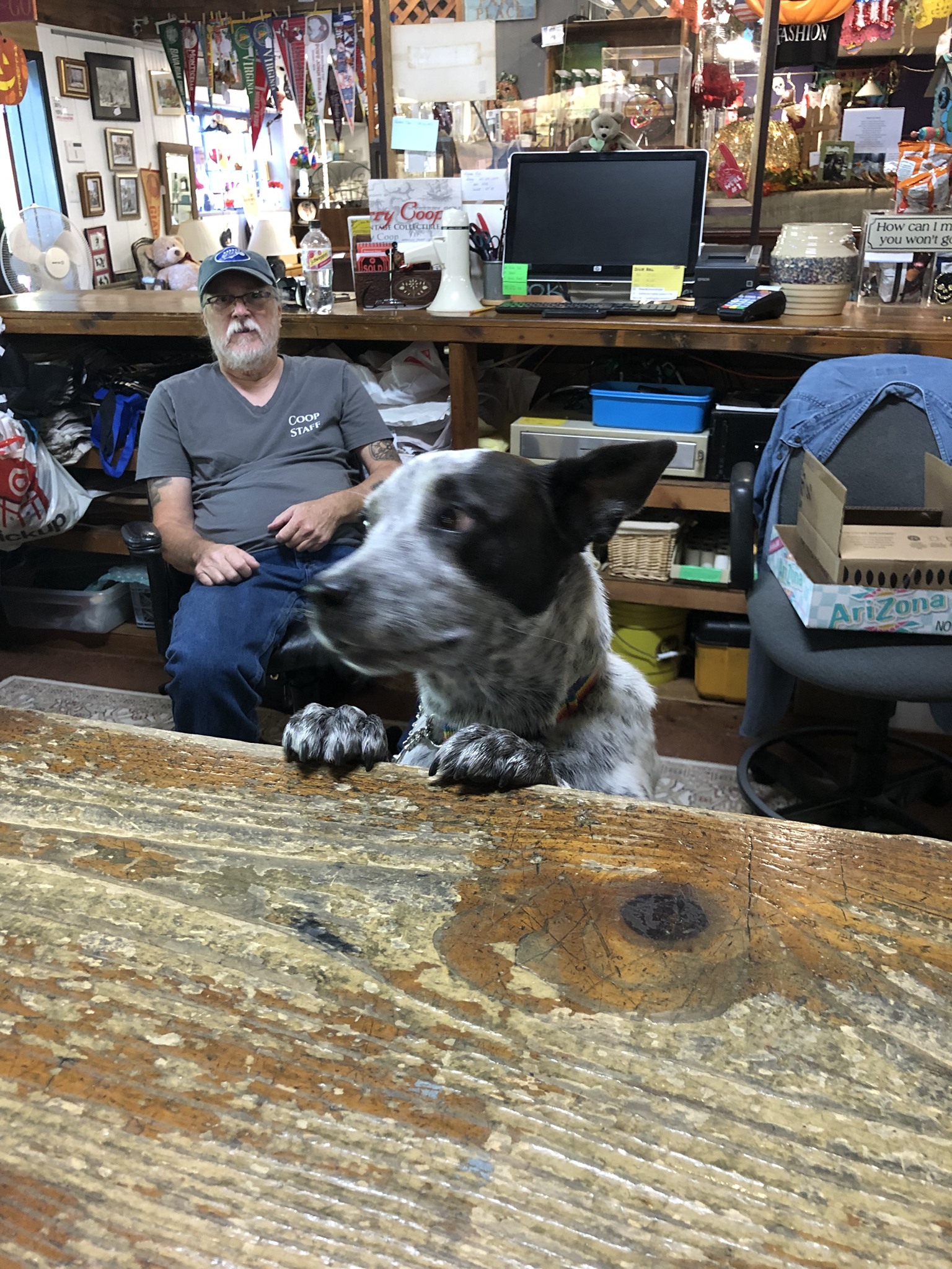 Scranberry Coop Snapshots - Jeff was tired, but Tosh jumped in to help! - Scranberry Coop - Vintage Store - Antiques, Collectibles, & More