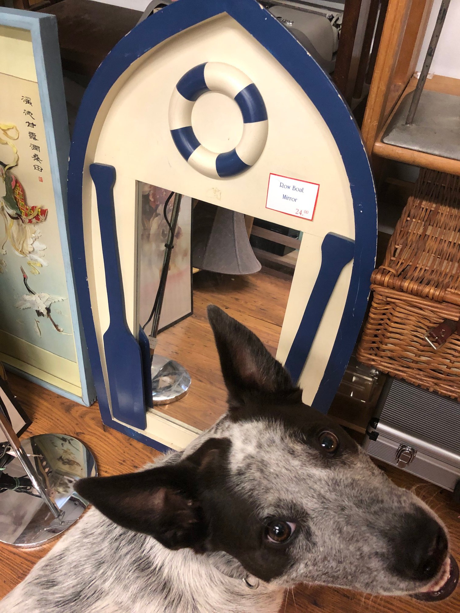 Scranberry Snapshot - Did you see that beautiful dog in the mirror? - Scranberry Coop - Vintage Store - Antiques, Collectibles, & More