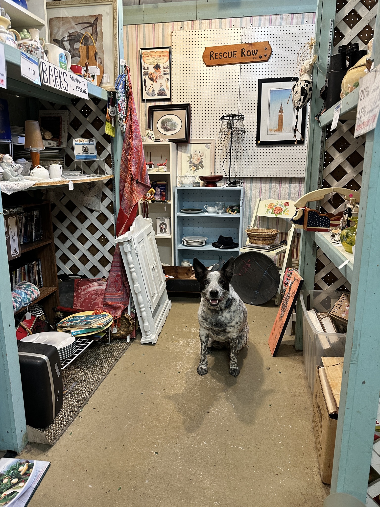 Scranberry Snapshots - Rescue Row! Please visit these booths, they help shelter animals like I used to be! - Scranberry Coop - Vintage Store - Antiques, Collectibles, & More